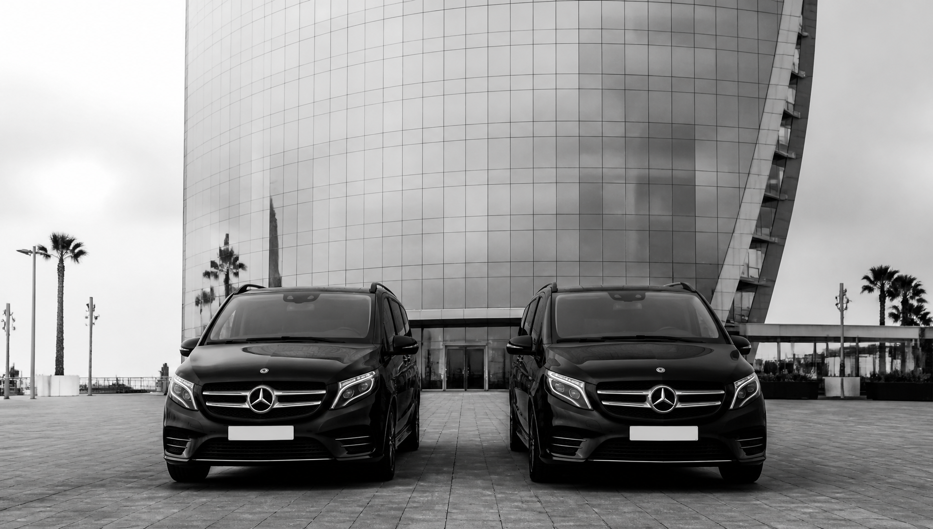Mercedes-Benz S-Class and V-Class